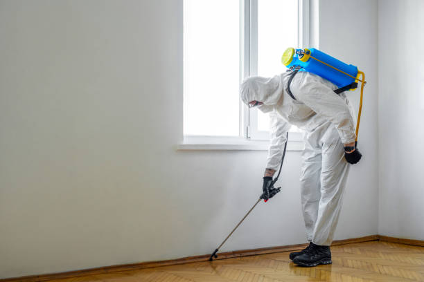 Best Mosquito Control Services  in Livingston, MT