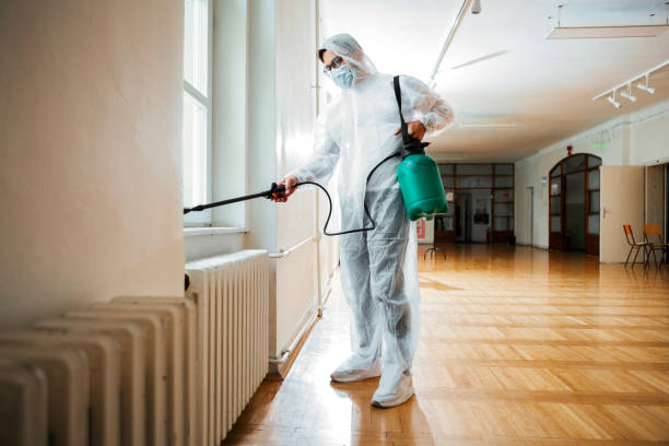 Best Termite Control Services  in Livingston, MT